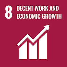 8 Decent work and economic growth